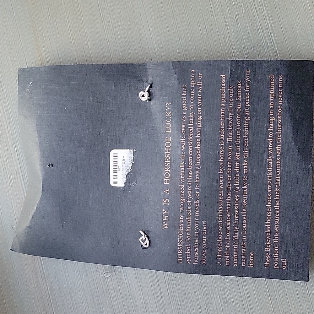 Bejeweled Horseshoe with Authentic Dirty Track Horseshoe - Picture 5 of 8